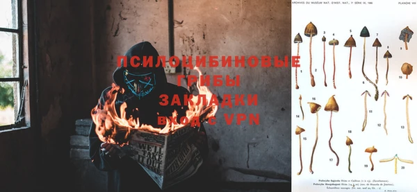 ГАЛЛЮЦИНОГЕННЫЕ ГРИБЫ Богданович