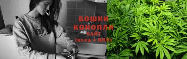 spice Аркадак