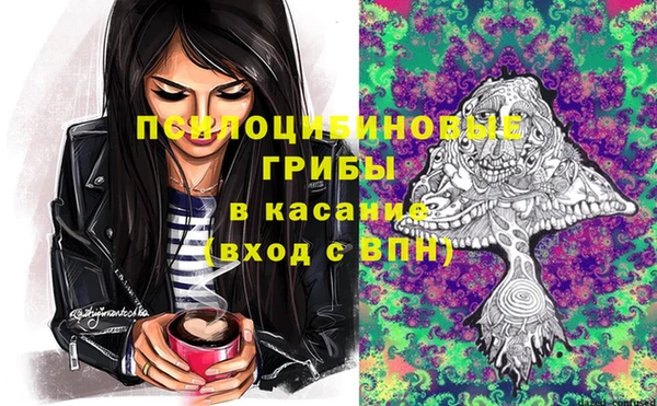 ГАЛЛЮЦИНОГЕННЫЕ ГРИБЫ Богданович